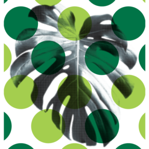 Attentiveness screen print by Graeme Luey