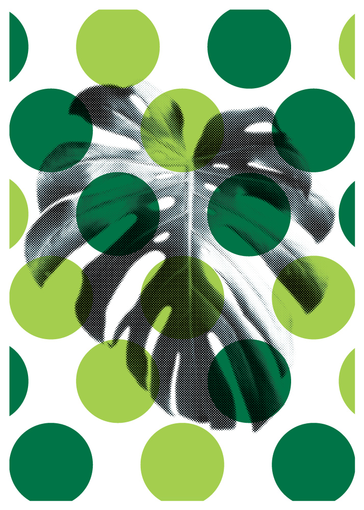 Attentiveness screen print by Graeme Luey